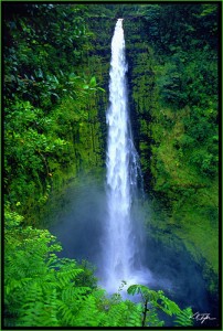 Hawaii Waterfall
