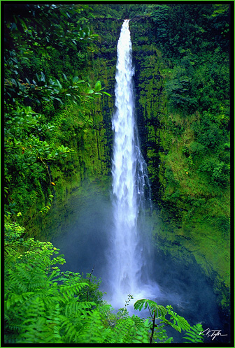 stamps from hawaii